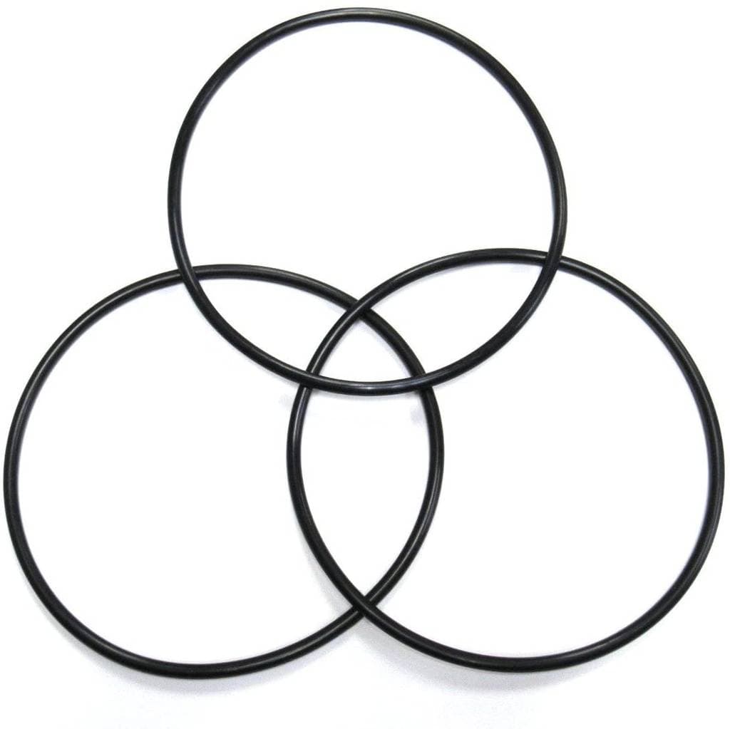 ORING-PARA-TAPA-DE-FILTRO-DE-CARTUCHO-25FT-R172502J-RAIMBOW — imagen 1