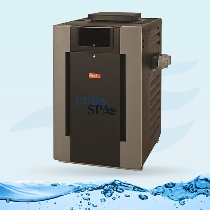 CALENTADOR DIGITAL GAS PROPANO - RAYPAC