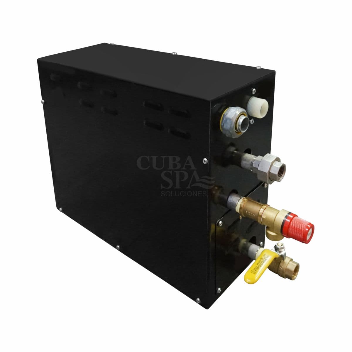 Generador de vapor eléctrico con Tablero Digital 6kw