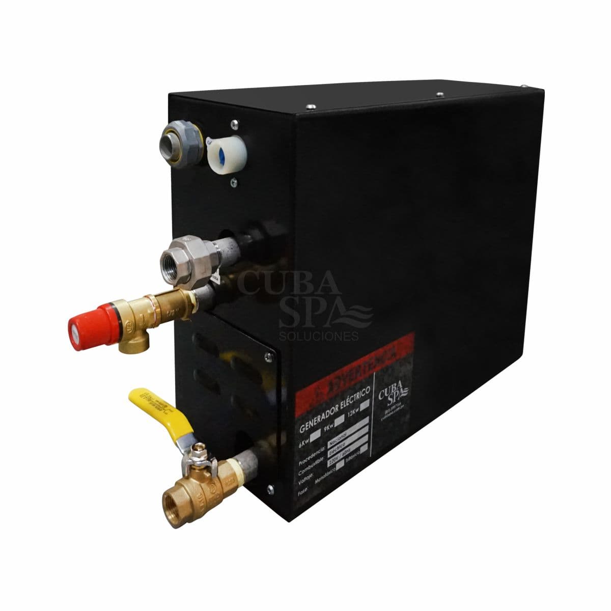 Generador de vapor eléctrico con Tablero Digital 6kw