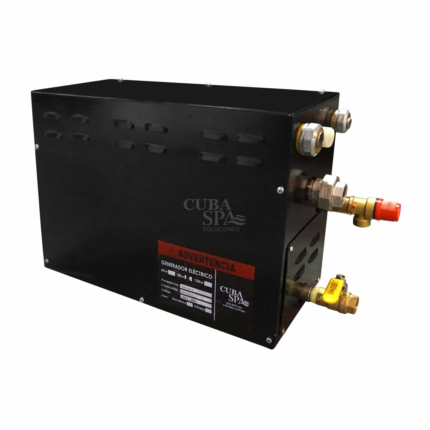 Generador de vapor eléctrico con Tablero Digital 9kw