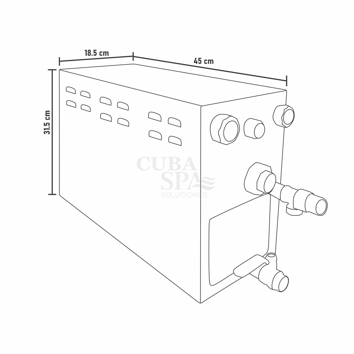 Generador de vapor eléctrico con Tablero Digital 9kw