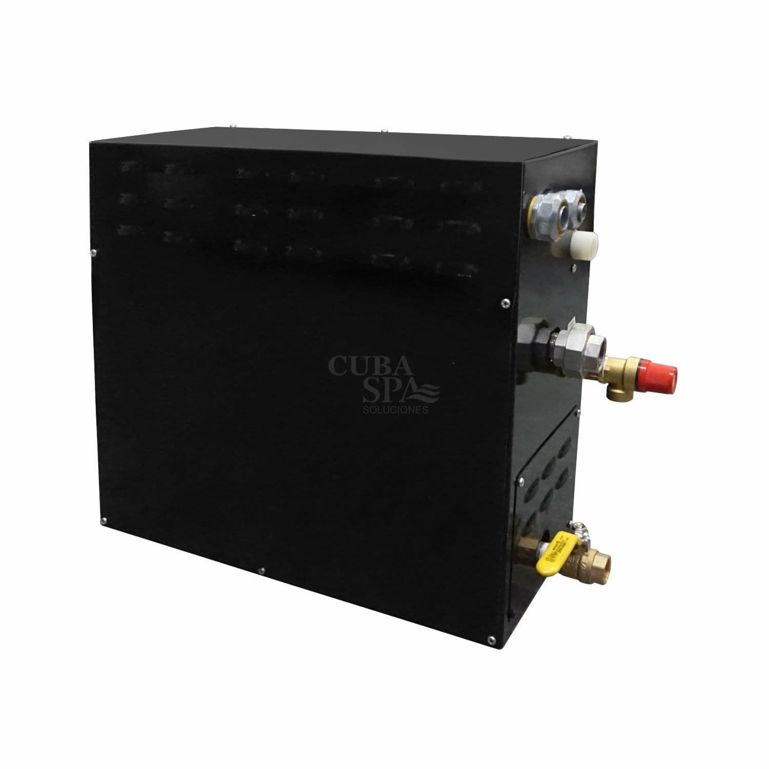 Generador de vapor eléctrico con Tablero Digital 12 kw