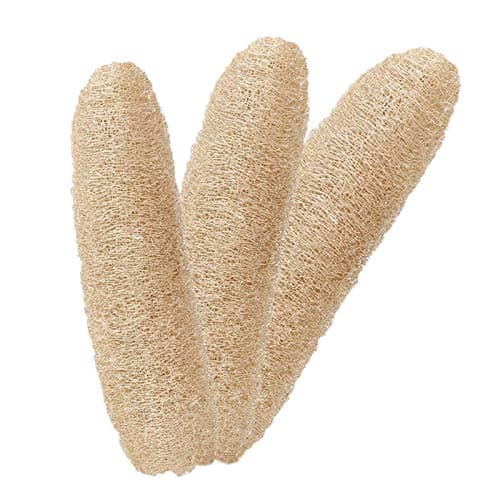 ESPONJA EXFOLIANTE NATURAL