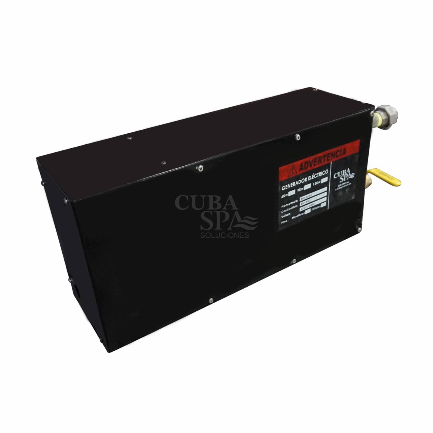Generador de vapor eléctrico con Tablero Digital 4kw